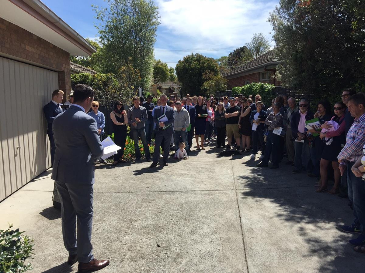 IMG_3886.141109 Img 3886.141109