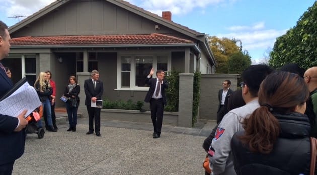 aqaq.145254 Aqaq.145254