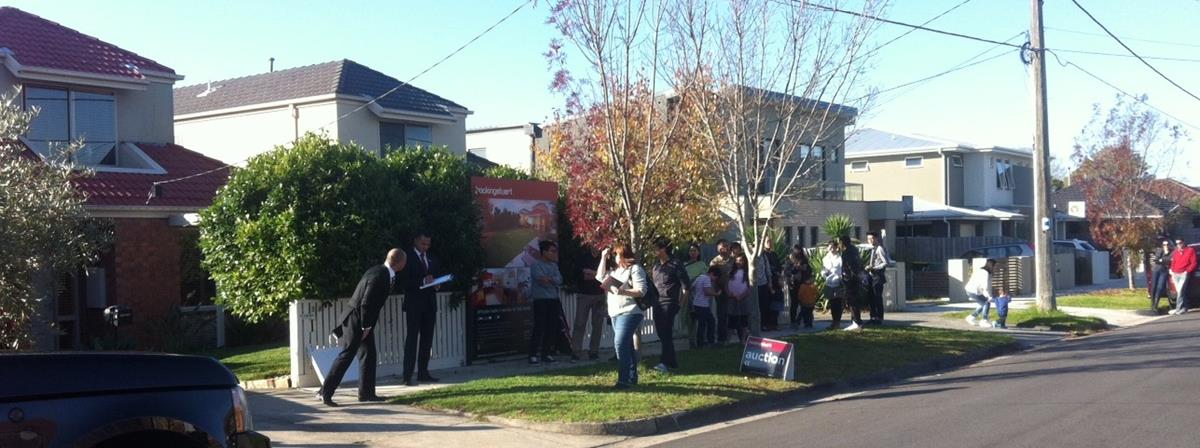 auction.132235 Auction.132235